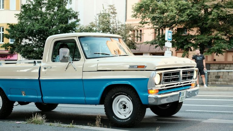 Ford F100 Pickup